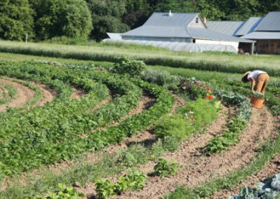 A to Z Produce and Bakery