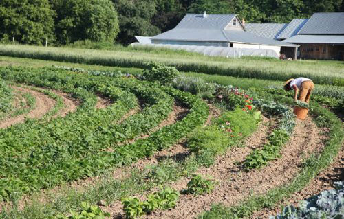 A to Z Produce and Bakery