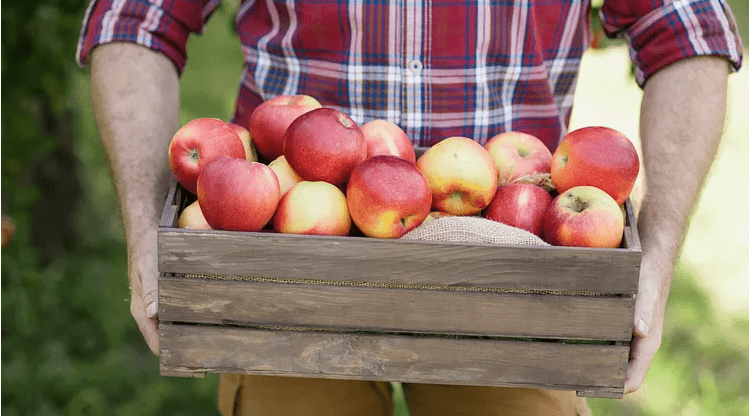 Maiden Rock Winery & Cidery