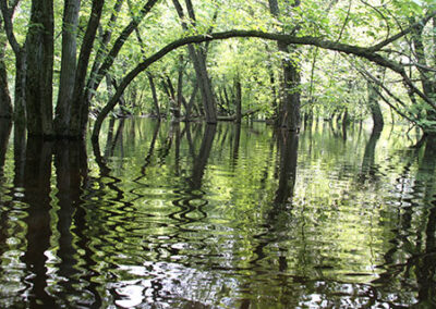 Tiffany Wildlife Area & Other Natural Areas