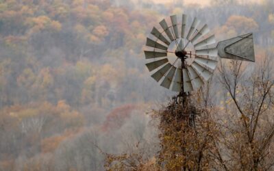 Finding Fall Colors in Pepin County