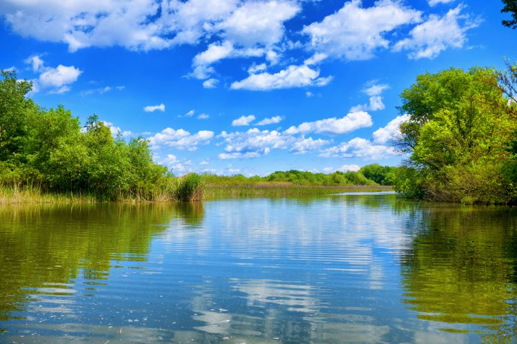 Chippewa River