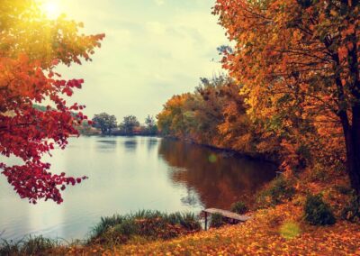 Silver Birch Lake