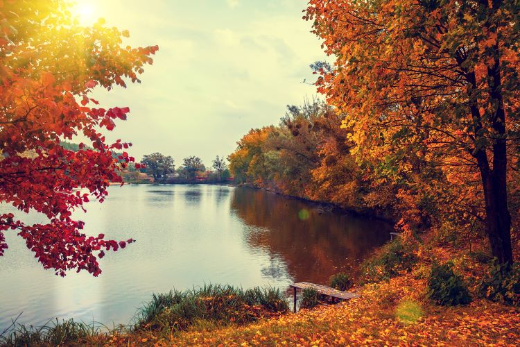 Silver Birch Lake