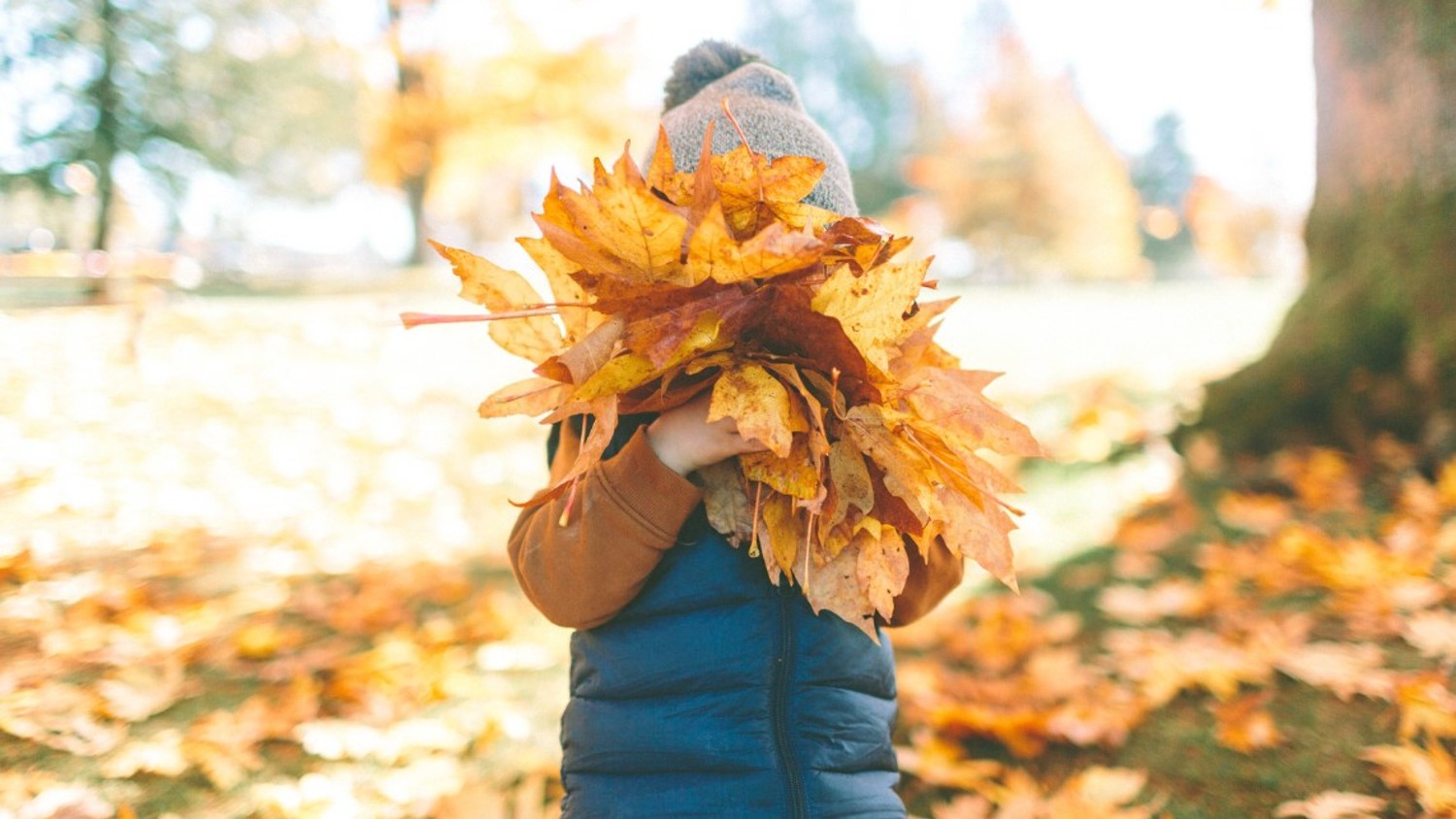 Kid with Fall leaves