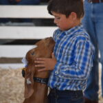 a boy looks at his goat in a county fair