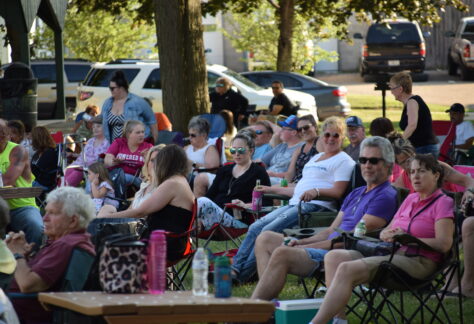 a crowd in lawn chairs listening to live music outdoors