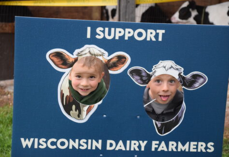 children putting their heads through cardboard cutouts of cows