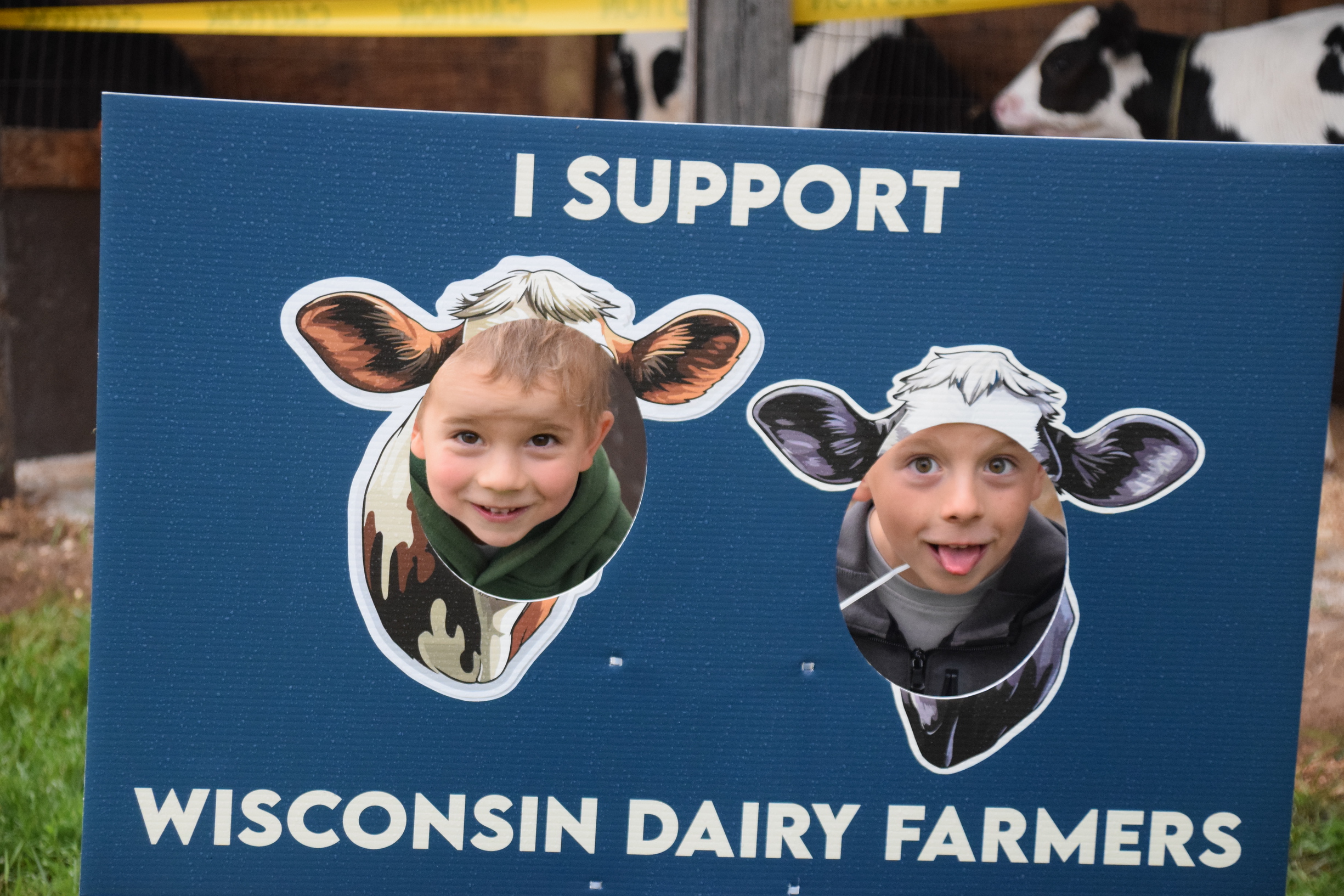 children putting their heads through cardboard cutouts of cows