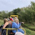 people enjoy an open air ride on a train