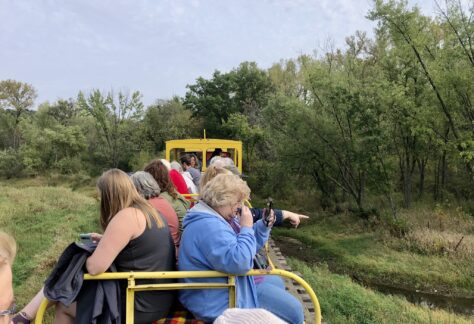 people enjoy an open air ride on a train