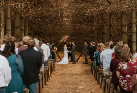 A couple gets married in an evergreen forest