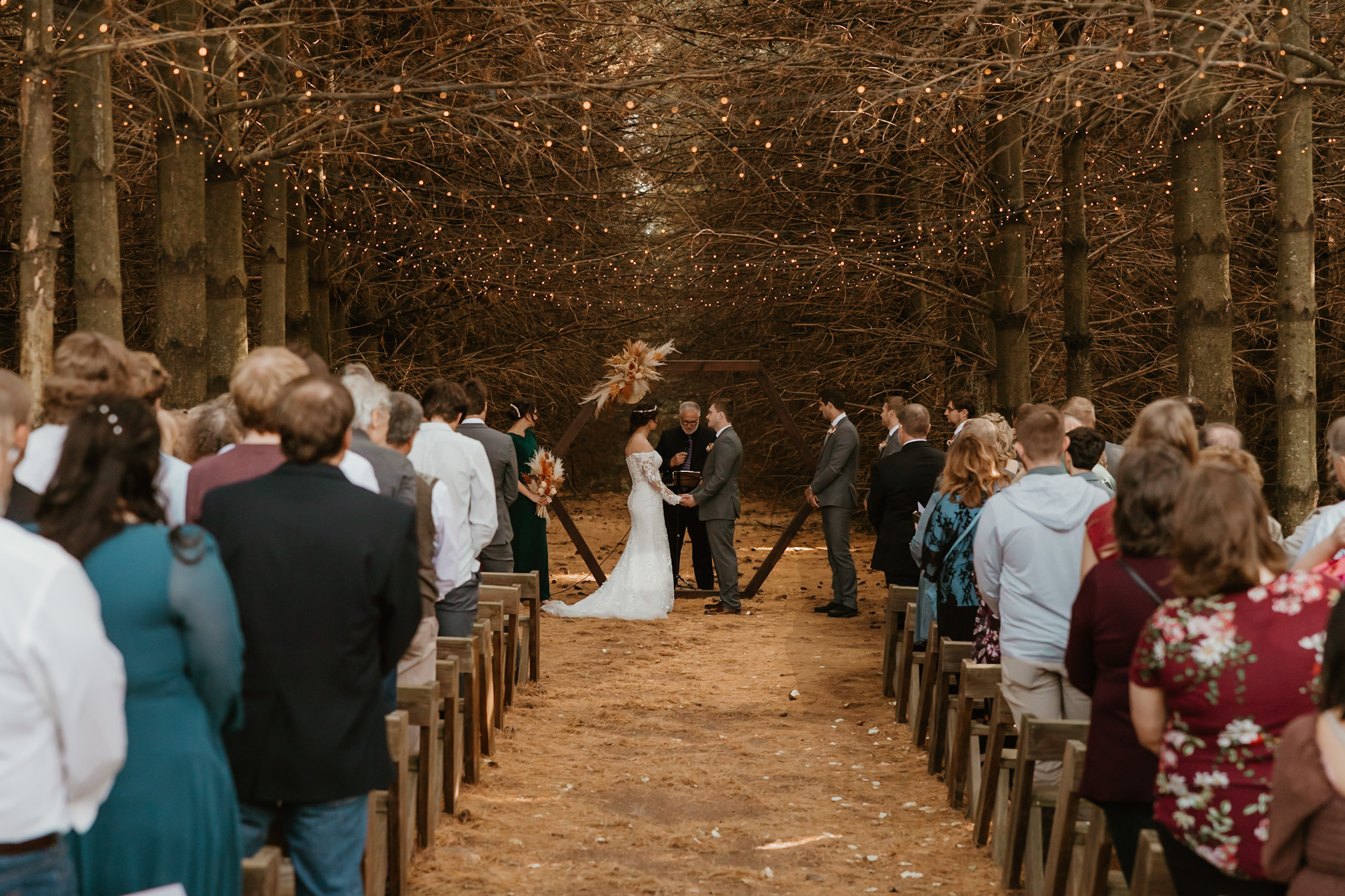 A couple gets married in an evergreen forest
