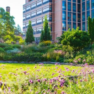 a prairie style field to the side of a large office building