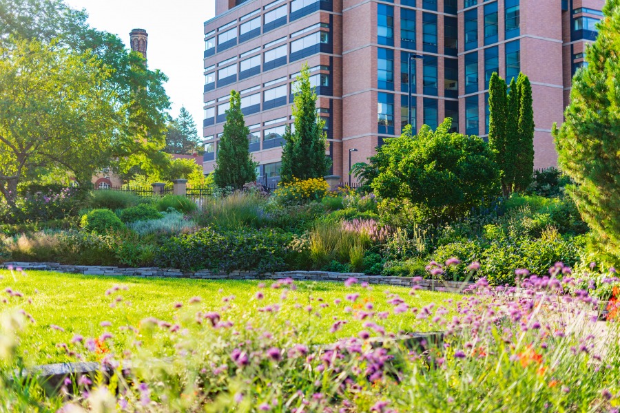 a prairie style field to the side of a large office building