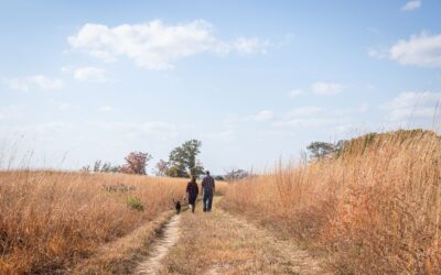 The Wildlife of Pepin County